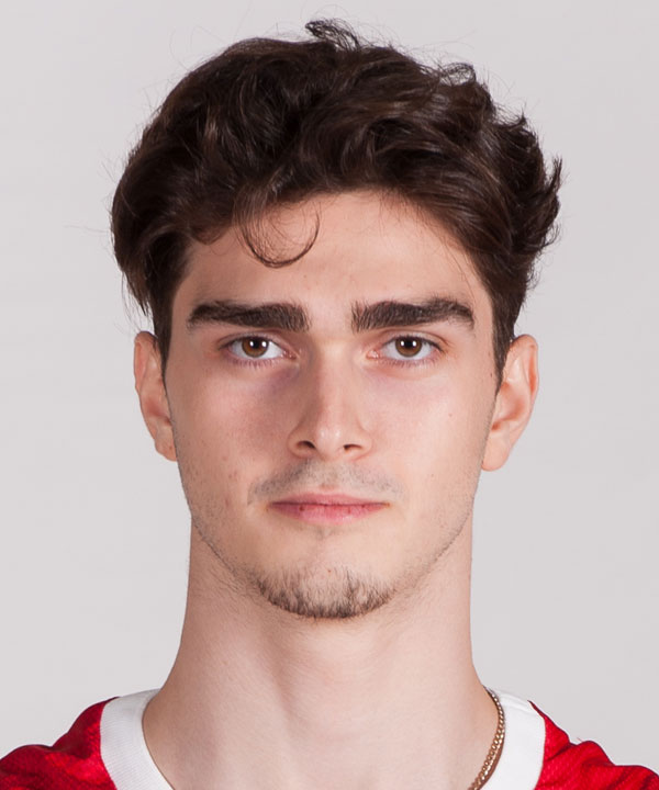 Yigit Mestoglu